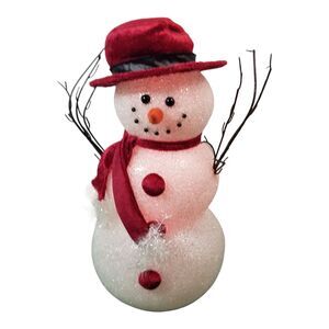 Snowman 17" Christmas Light Up Changes Colors Winter Red Top Hat Scarf LED Video